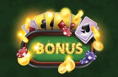 313bet